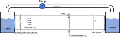 Numerical and analytical flow models in ecological channels with interaction of vegetation and freshwater